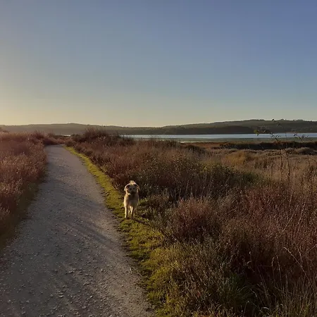 Casa Da Bica D'agua * אובידוס